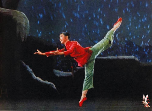 怎么买假的科威特护照